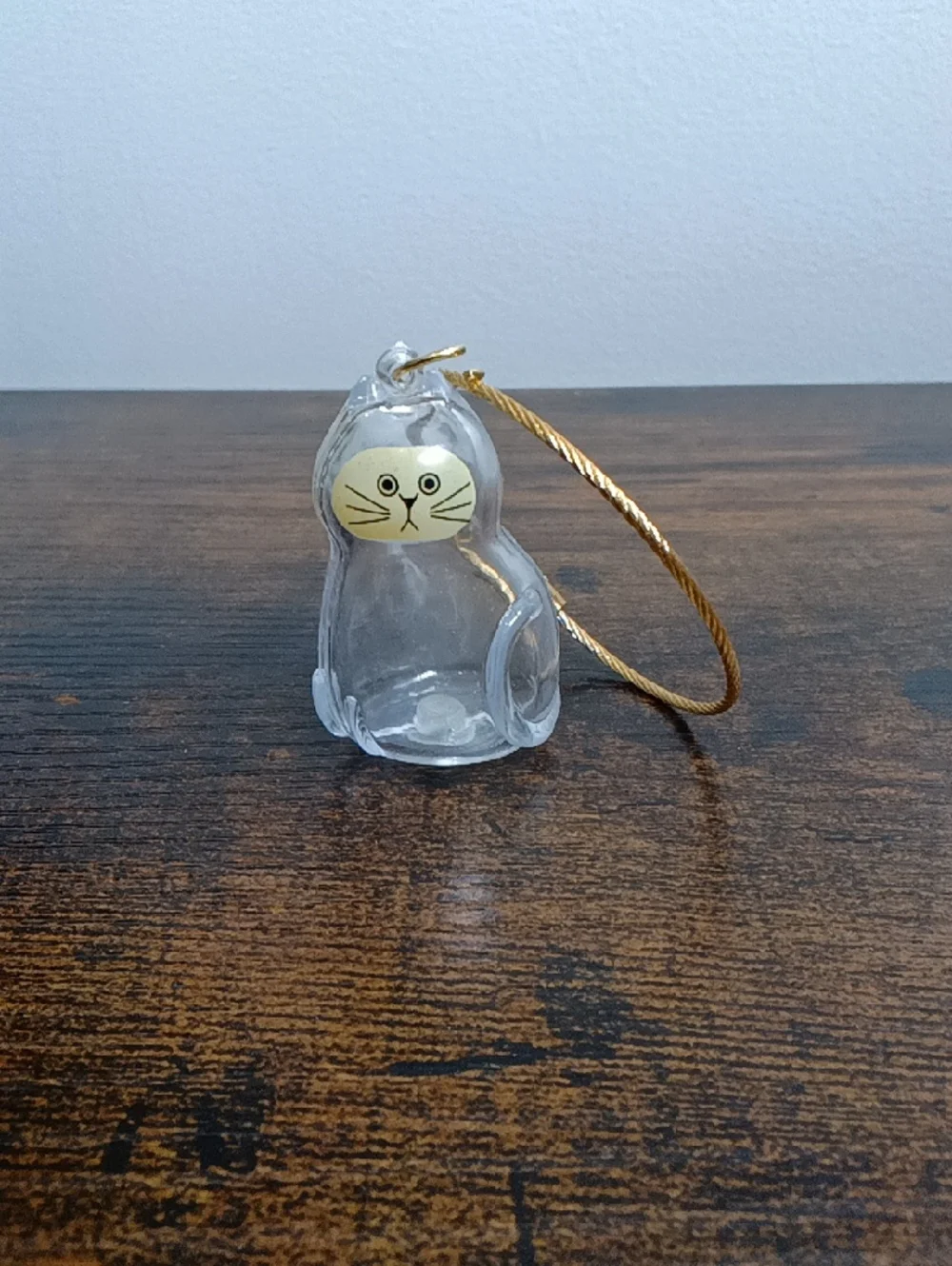 Pet Fur Memorial Transparent 😺 Cat Hair Capsule Keychain